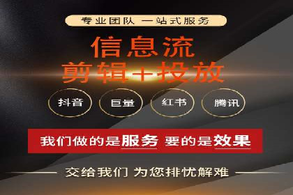 SEO百度推广策略：成功案例解析